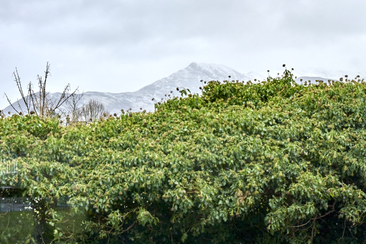 Apt3_Riverside_Feb2026_90